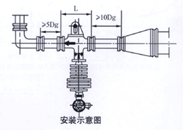 旋翼式蒸汽流量计(图2)